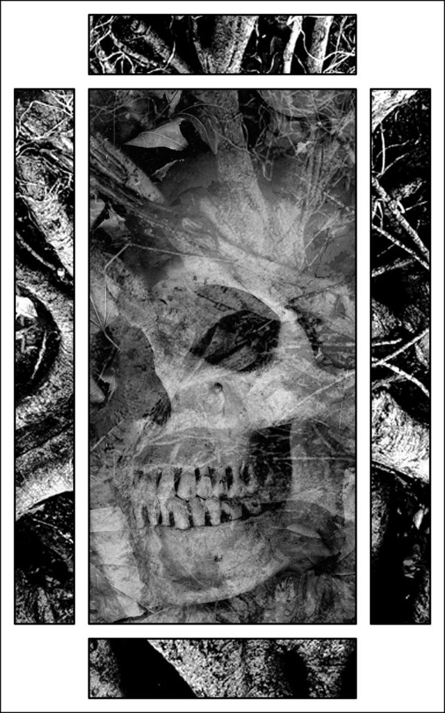 Haverhill House Publishing — Strange Seed by T.M. Wright (Interior Illustration #3)