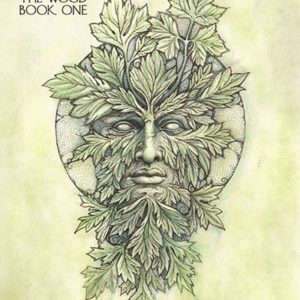 Haverhill House Publishing — The King of the Wood by J. Edwin Buja