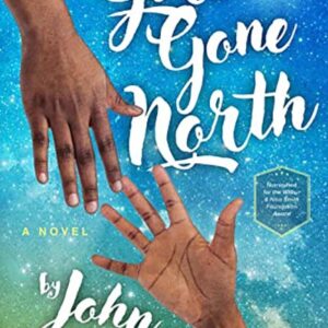 Haverhill House Publishing — Girl Gone North by John McIlveen